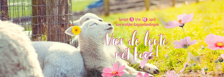 We vieren de lente bij Koos van der Beek! - KOOS • alles voor de kapper