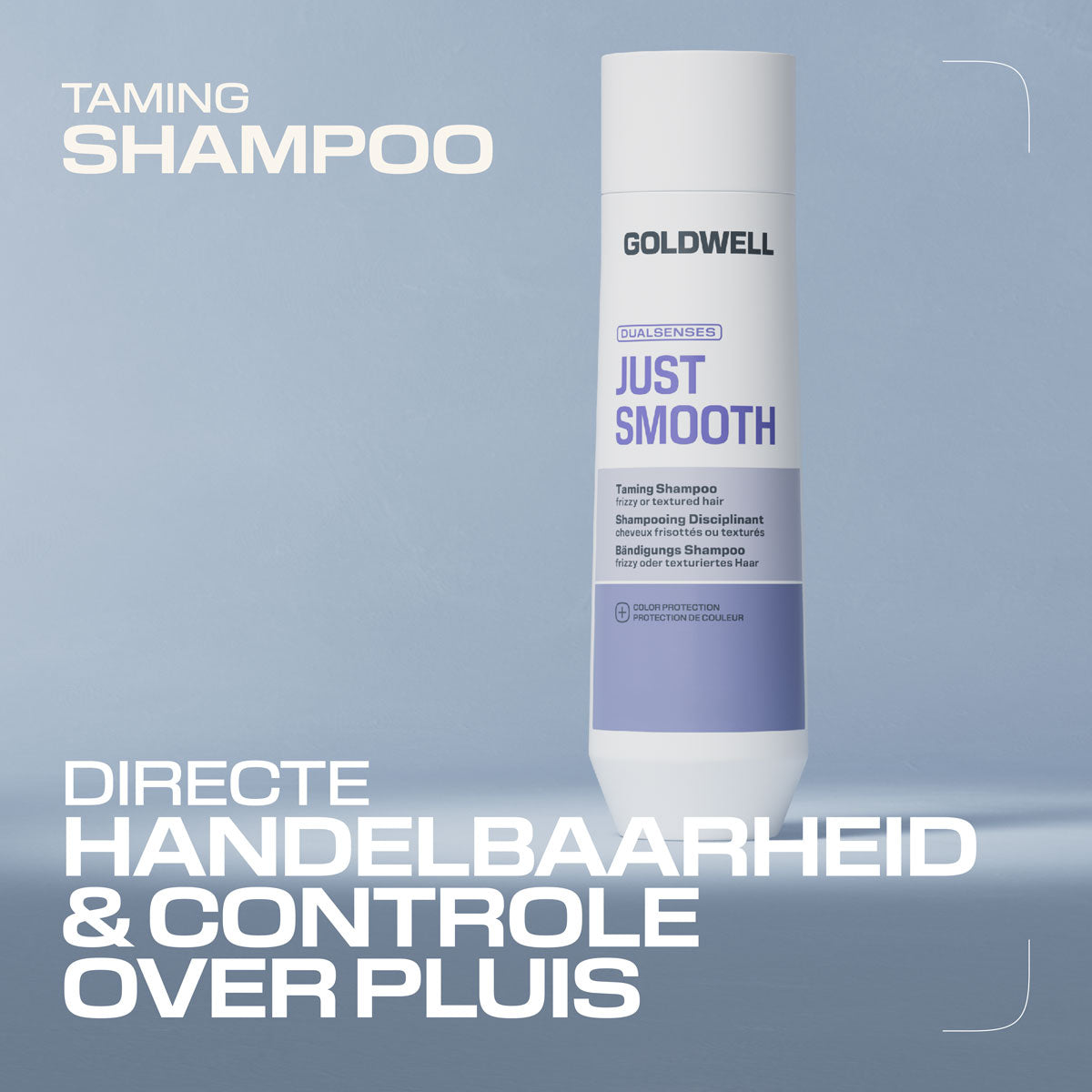 Goldwell Dualsenses Just Smooth Taming Shampoo