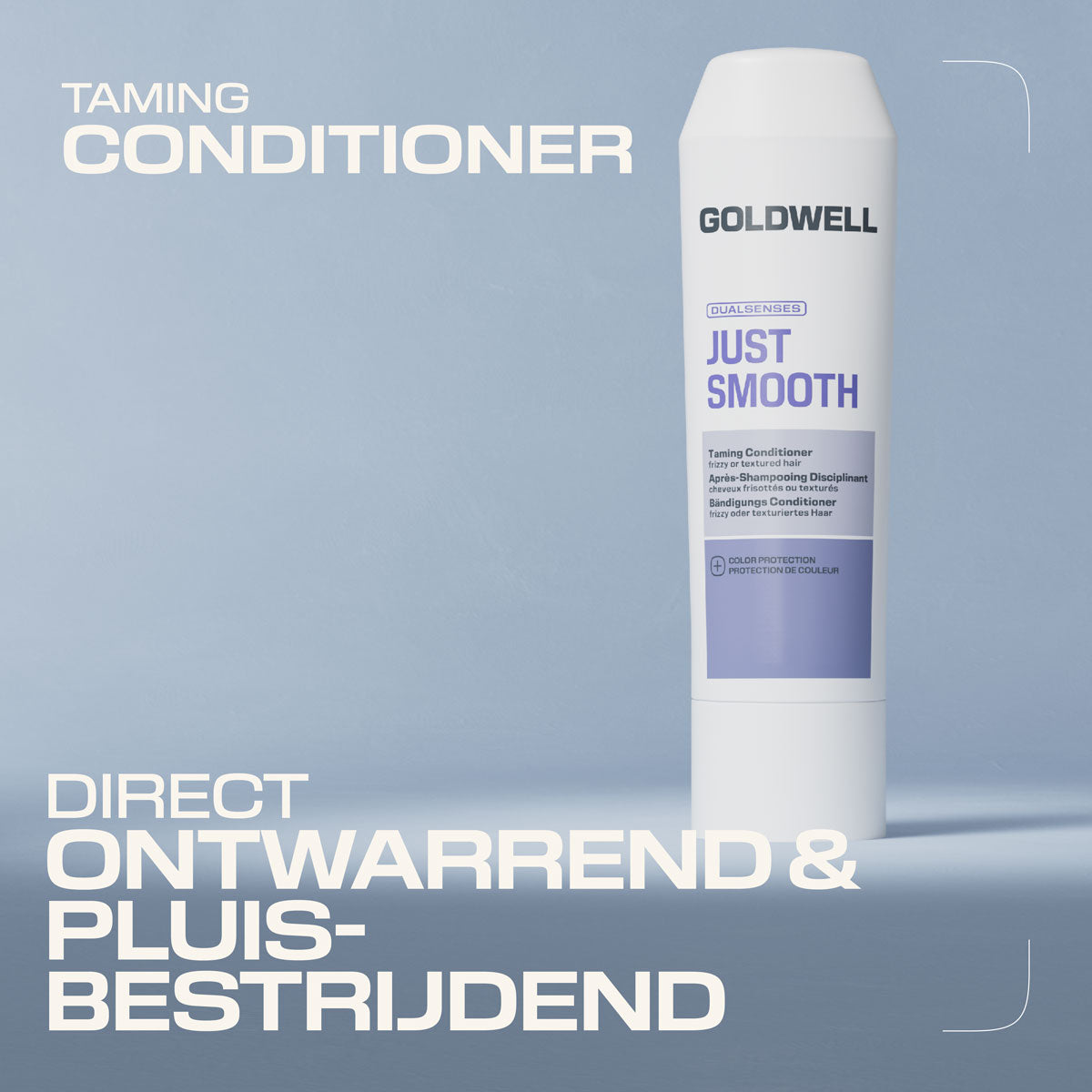 Goldwell Dualsenses Just Smooth Taming Conditioner